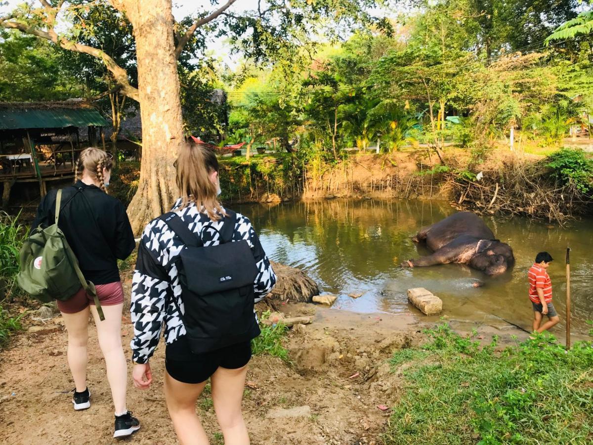 Dambulla Tourist Resort 외부 사진